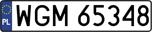 WGM65348