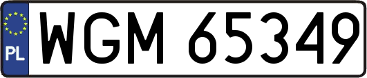 WGM65349