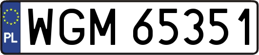 WGM65351