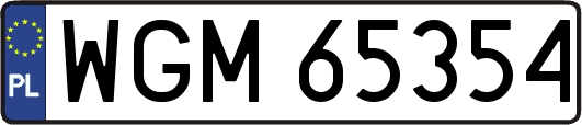 WGM65354