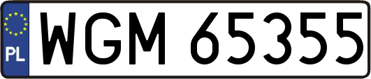 WGM65355