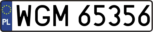 WGM65356