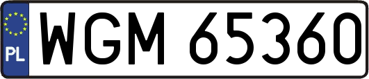 WGM65360