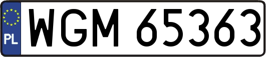 WGM65363