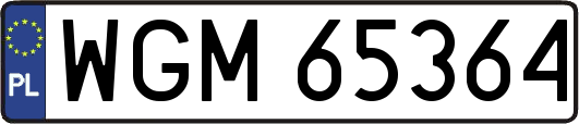 WGM65364