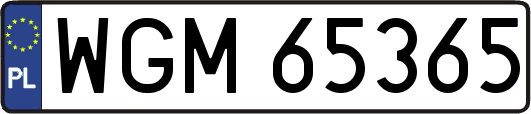 WGM65365