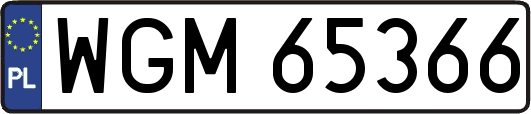 WGM65366
