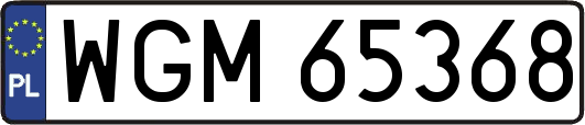 WGM65368