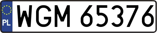 WGM65376
