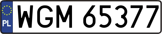 WGM65377