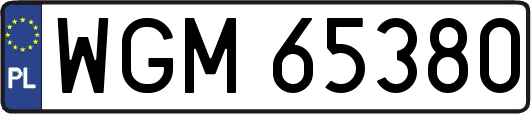 WGM65380
