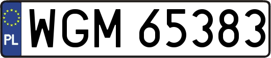 WGM65383