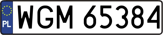 WGM65384