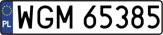 WGM65385
