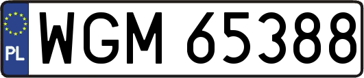 WGM65388