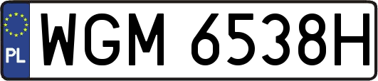WGM6538H