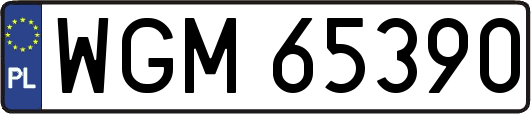 WGM65390