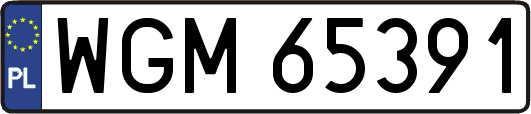 WGM65391