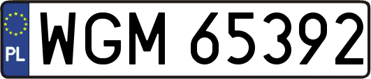 WGM65392