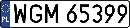 WGM65399
