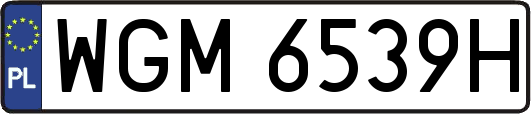 WGM6539H