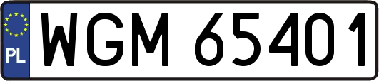 WGM65401