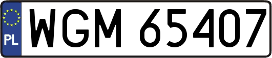WGM65407