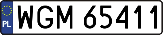 WGM65411