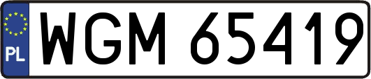 WGM65419