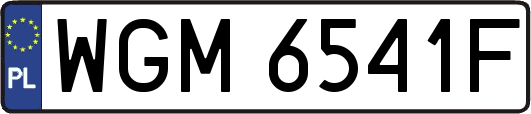 WGM6541F