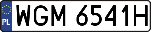 WGM6541H