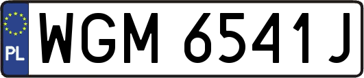 WGM6541J