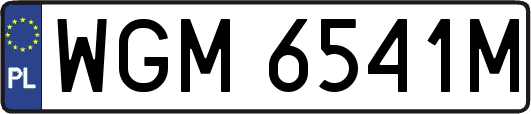 WGM6541M