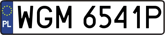 WGM6541P