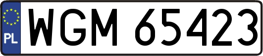 WGM65423