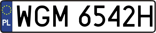 WGM6542H