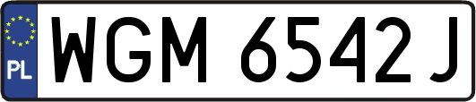 WGM6542J