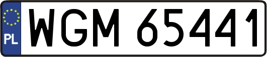 WGM65441