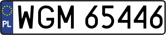 WGM65446