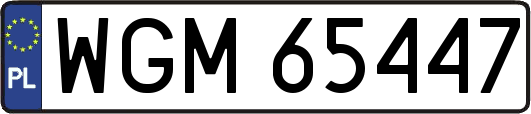WGM65447