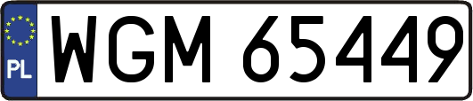 WGM65449