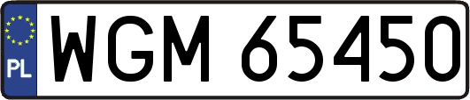 WGM65450