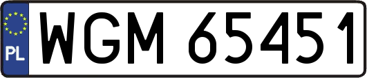 WGM65451