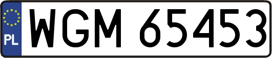 WGM65453