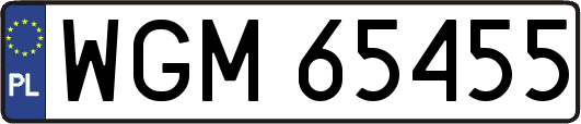 WGM65455