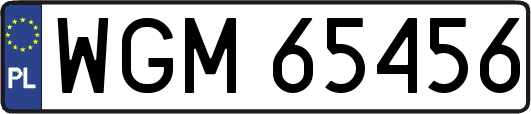 WGM65456
