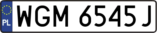 WGM6545J