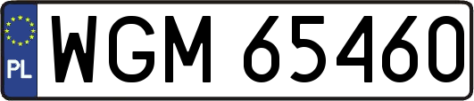 WGM65460