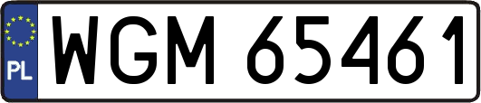 WGM65461