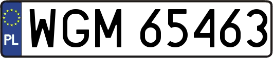 WGM65463